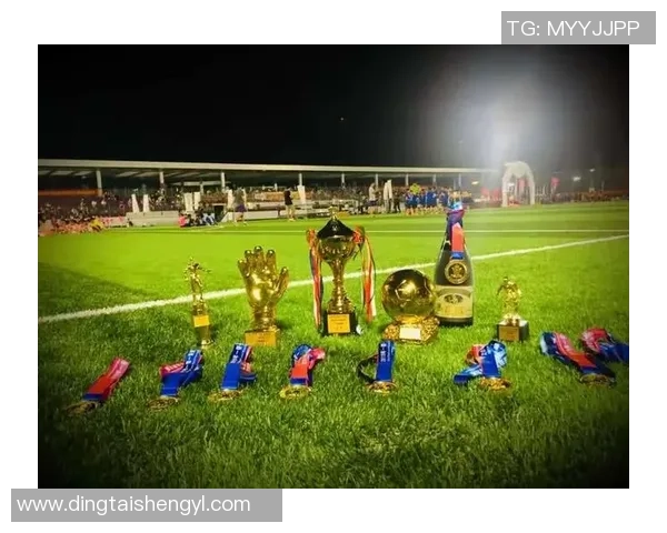 塞缪尔足球：探索这项运动背后的激情与梦想，感受团队合作的力量与魅力