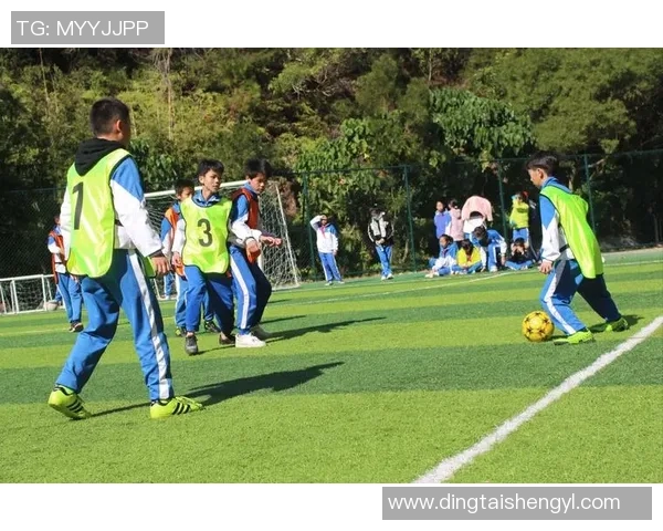 席勇足球：探索中国足球新未来的激情与梦想之旅